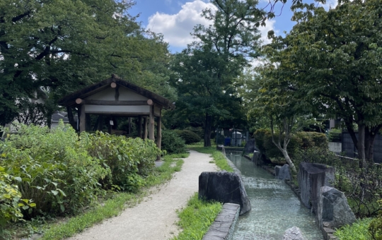 スタッフのおススメスポット【玉川上水第二公園】☆上北沢