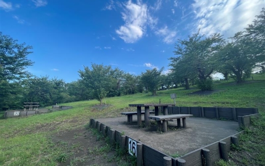 【大池公園】皆様、夏といえば、、、、？＠二俣川