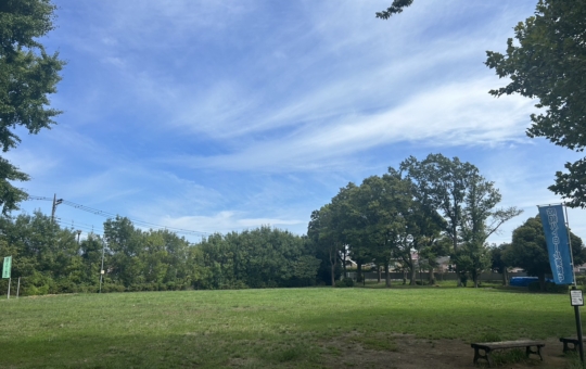 【しらゆり公園】地元の方は一度は行ったことがあるはず♪＠中田