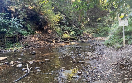 【鶴ヶ峰】陣ヶ下渓谷公園