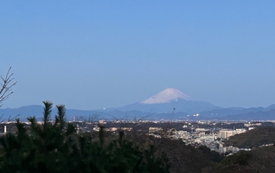 横浜市磯子区の絶景スポット（円海山）