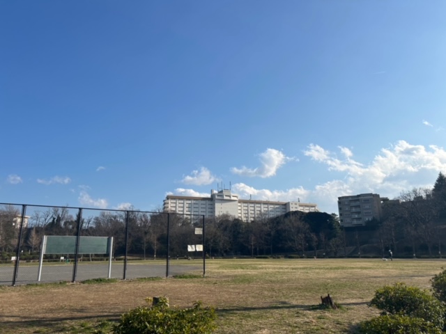 自然散策、お子様の遊び場、市電もあります！遠足でもおなじみの公園（久良岐公園）