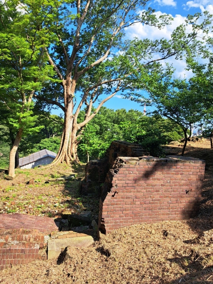 国指定名勝『三渓園』は日本の古建築と自然とが調和された芸術的な日本庭園です。