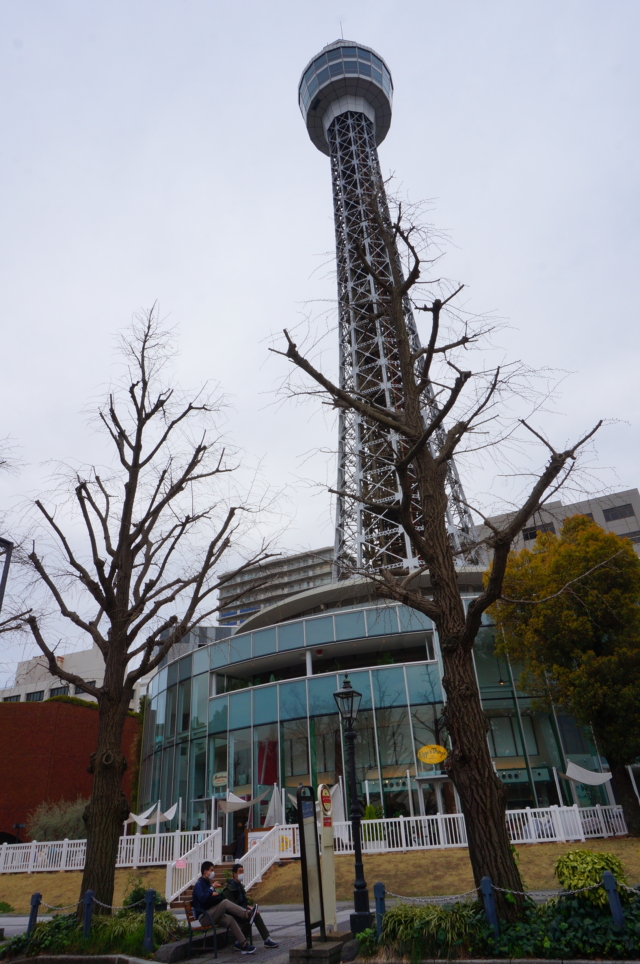 山下公園前の道は写真ポイントが沢山