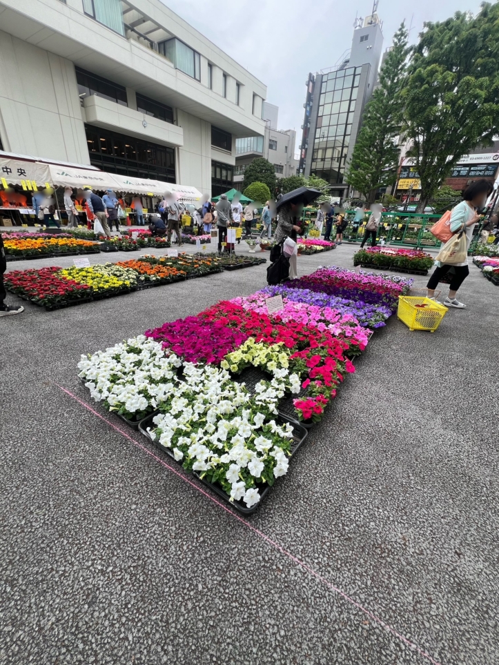 ☆チャリティー園芸市🥬🌼