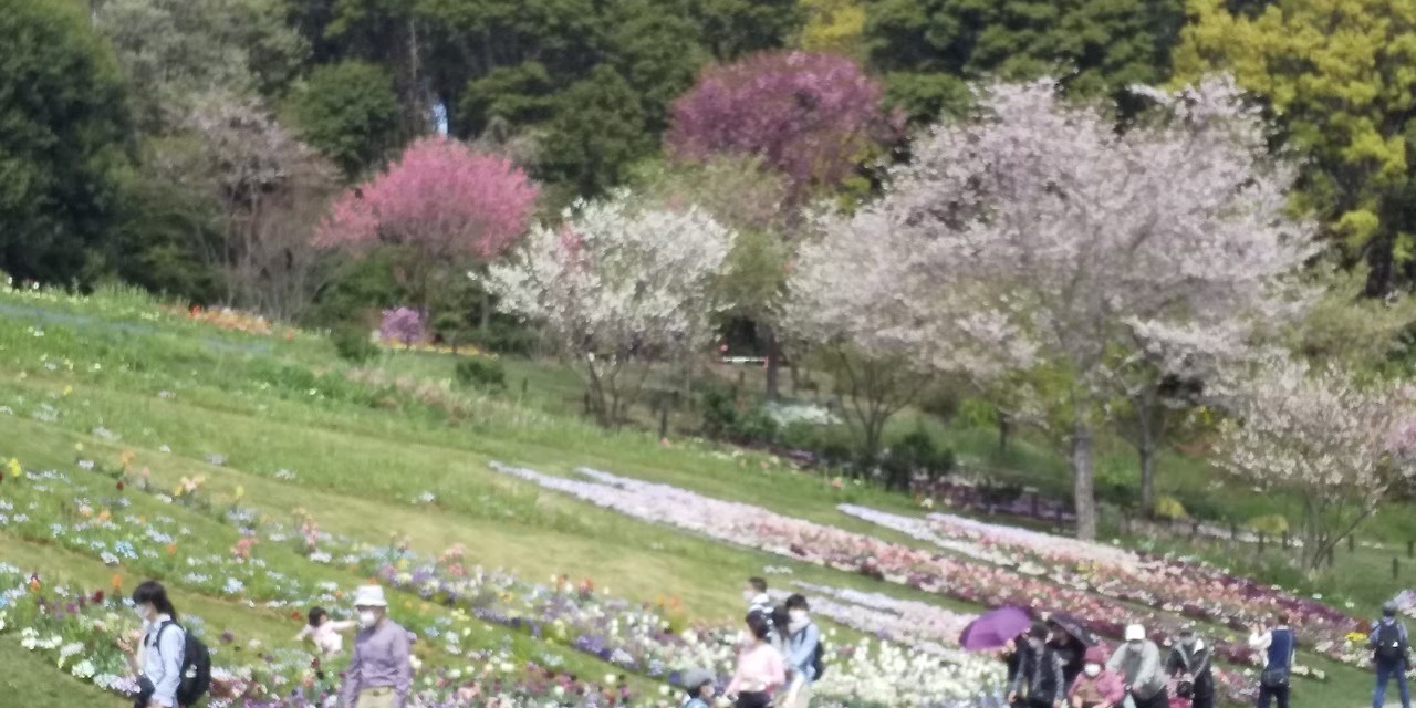 正に花の里！！春と秋の開花シーズン期間限定で開放される『里山ガーデン』