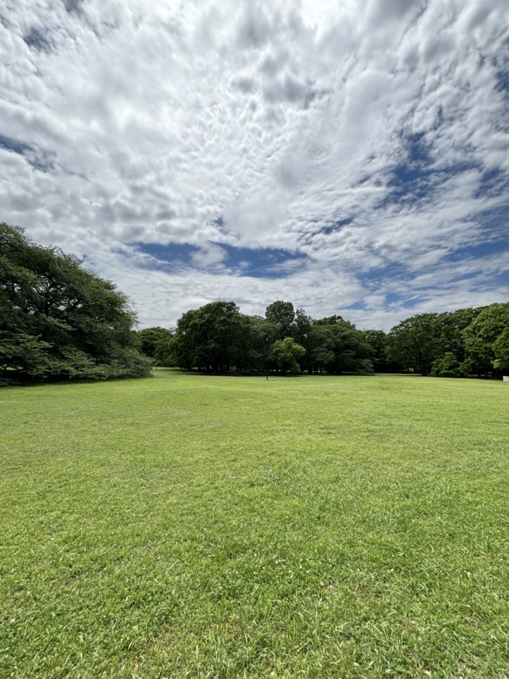 都内で自然に癒される【都立砧公園】