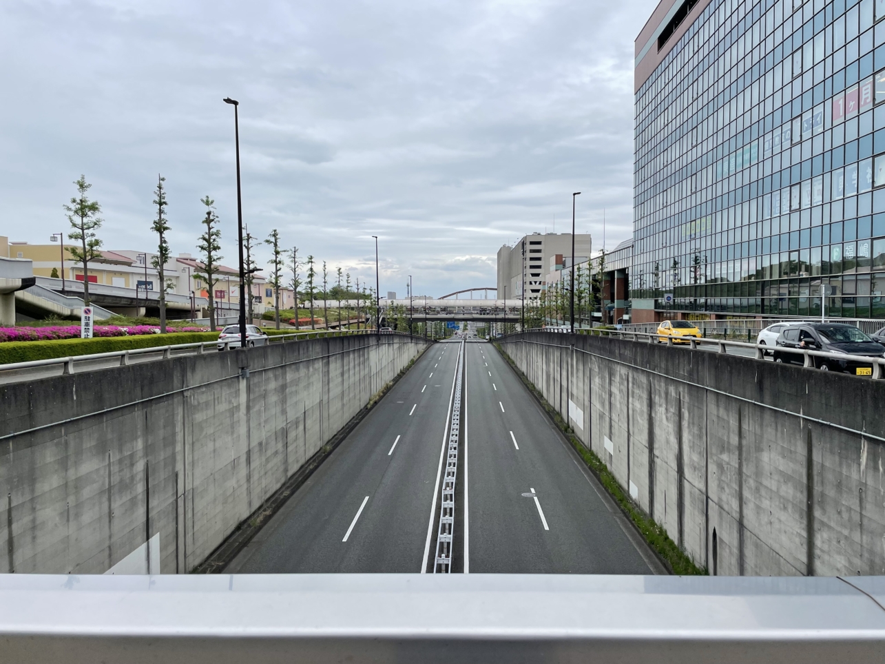 【南大沢】自然との共生、現代日本の在るべき姿