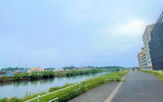 綱島の自然スポット🌺鶴見川