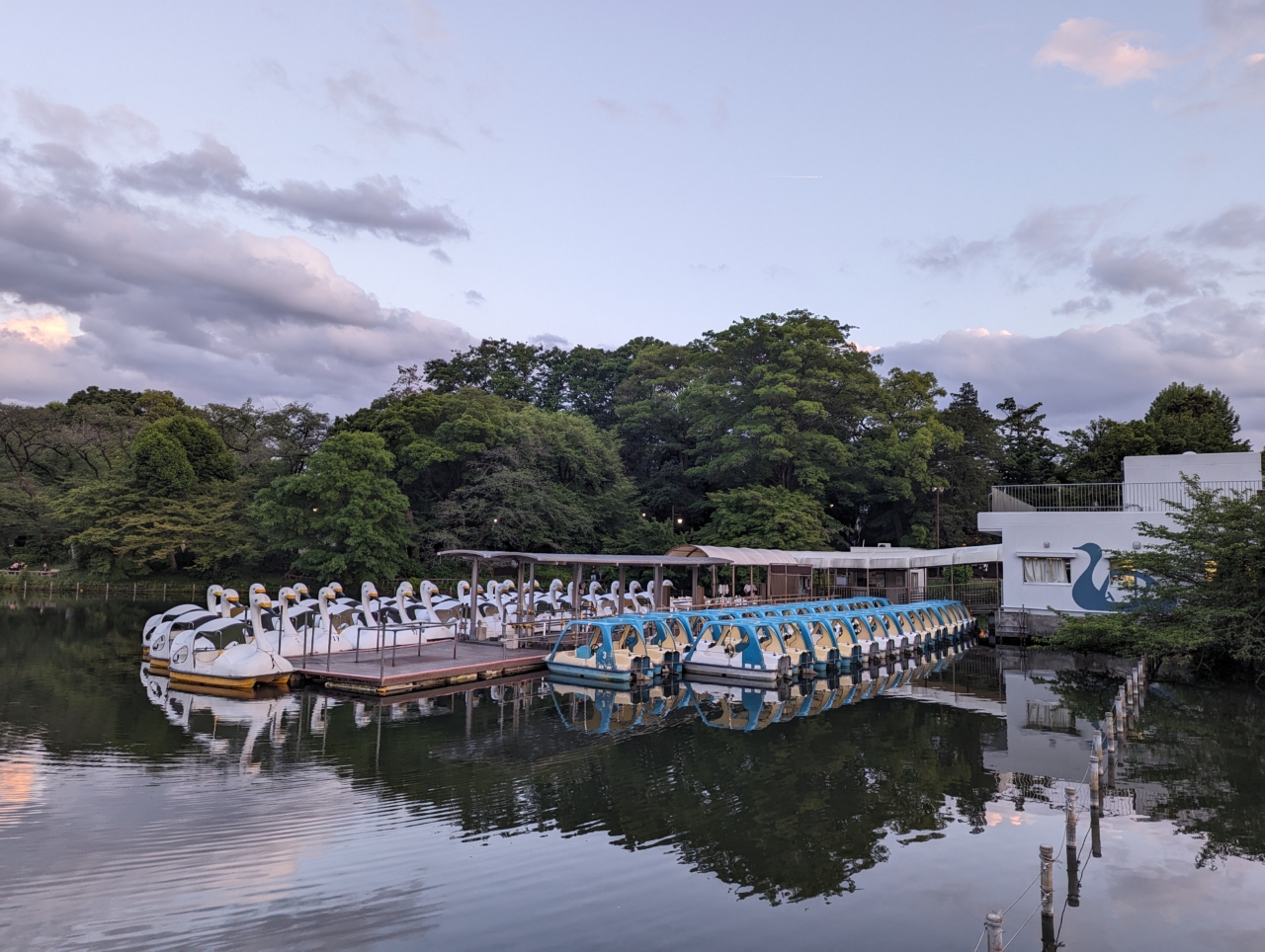 井の頭公園;Ver2（スワンボート）