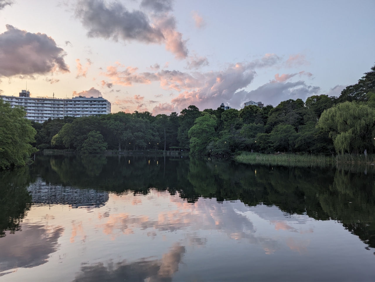 井の頭公園;Ver2（スワンボート）