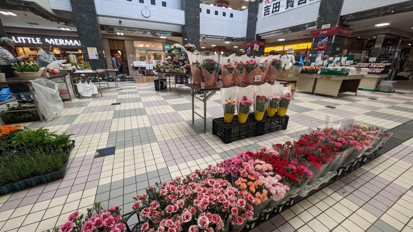 杉田駅、新杉田駅周辺をご紹介！