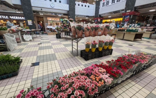 杉田駅、新杉田駅周辺をご紹介！