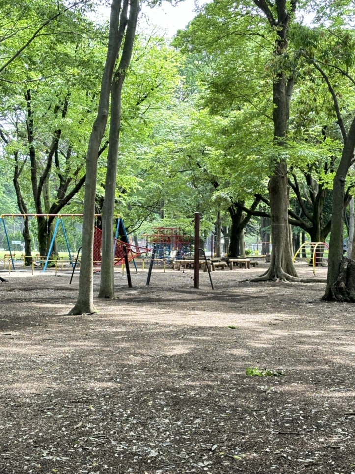 都内で自然に癒される【都立砧公園】