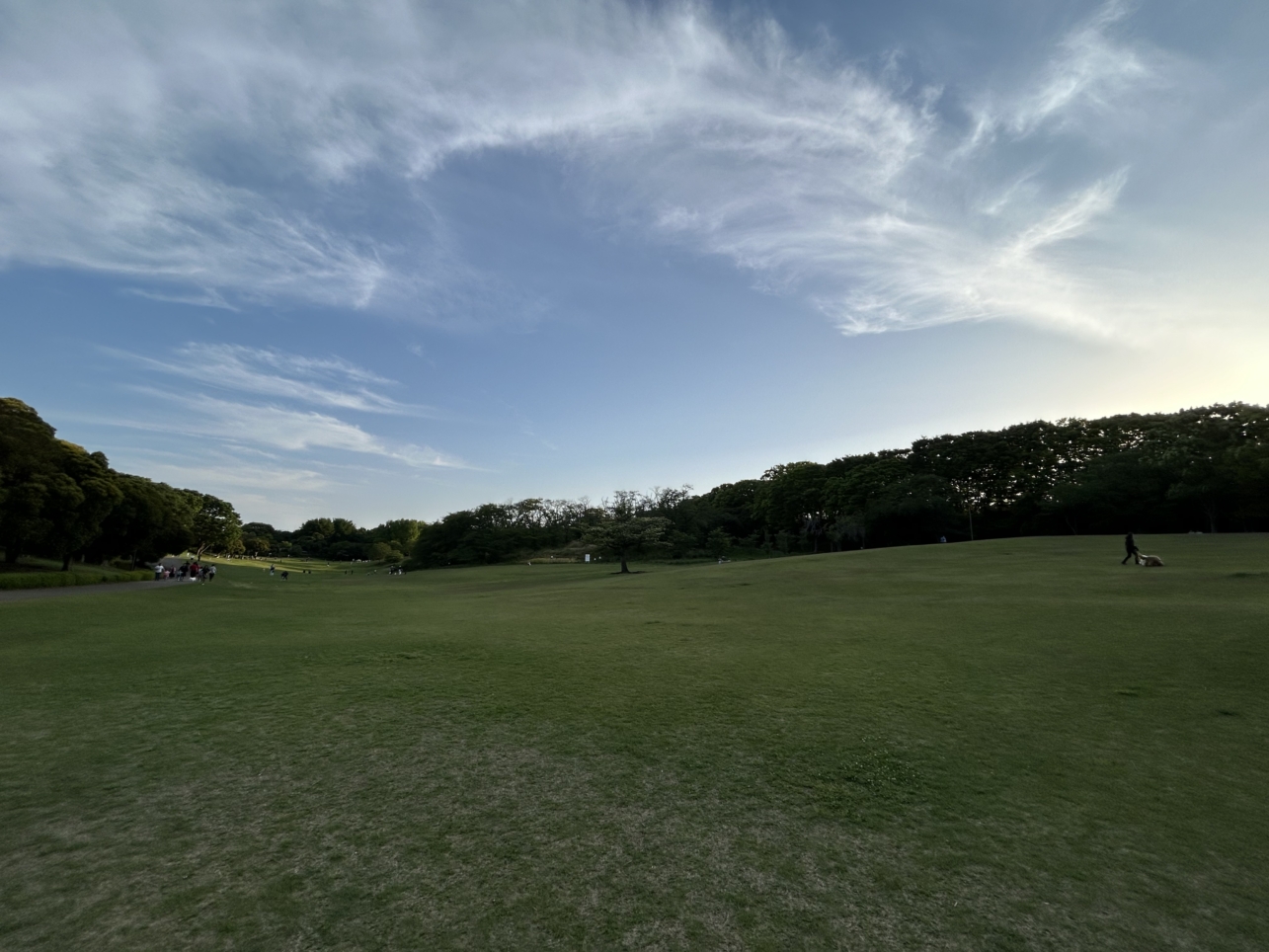 夕方の根岸森林公園