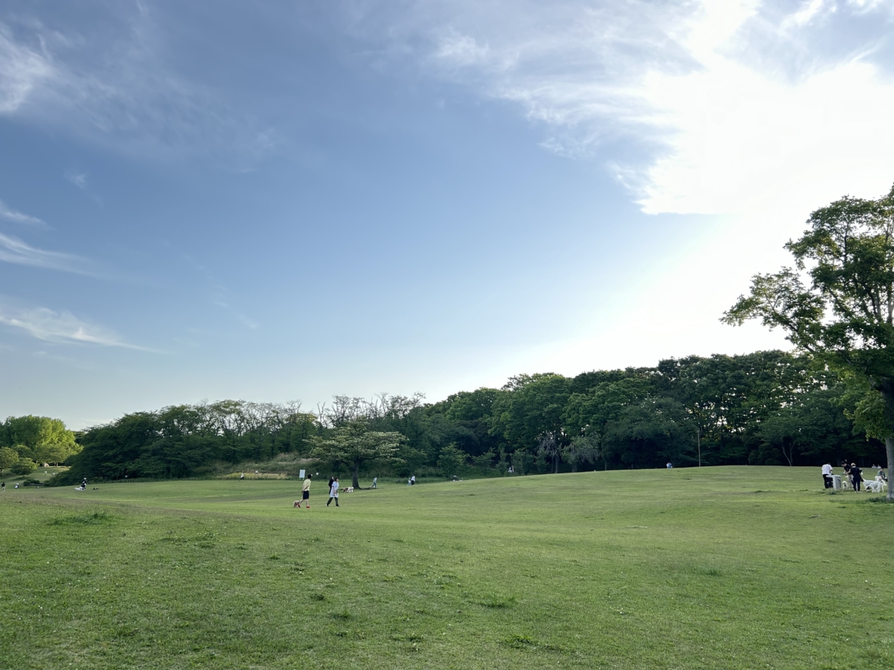 夕方の根岸森林公園