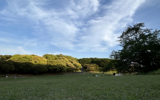 夕方の根岸森林公園