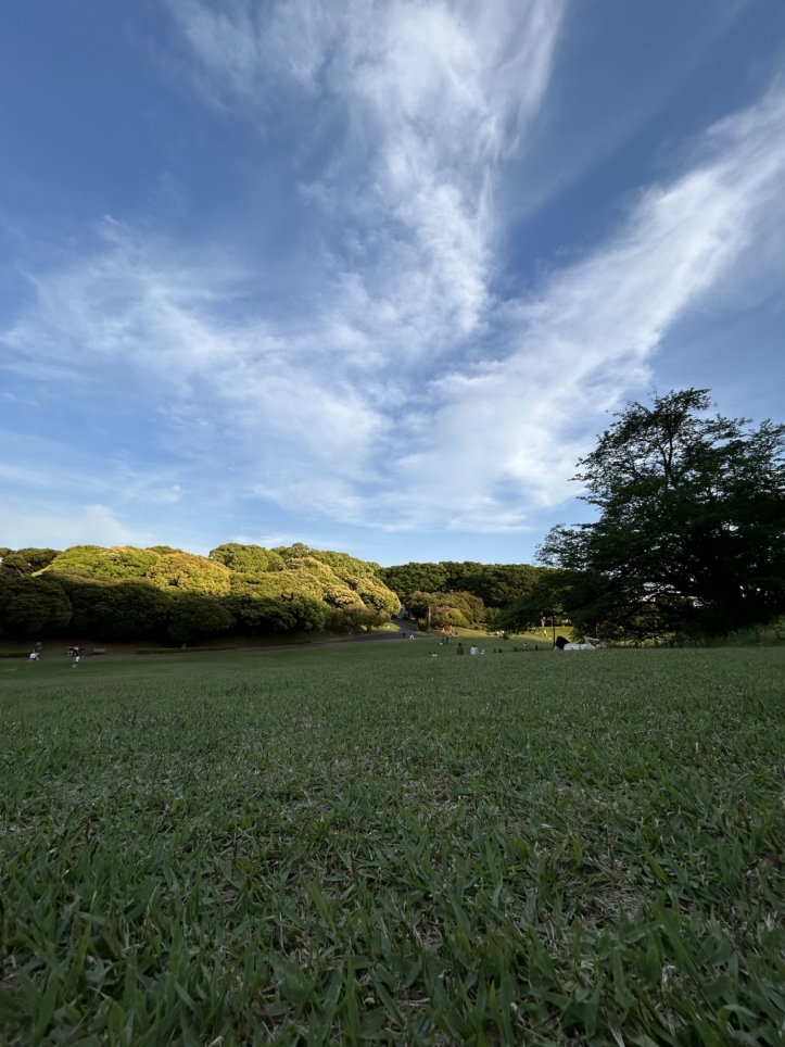 夕方の根岸森林公園