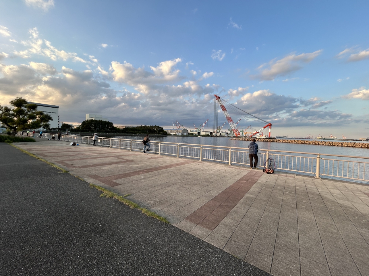 地元アングラーの隠れた釣りスポット（杉田臨海緑地）