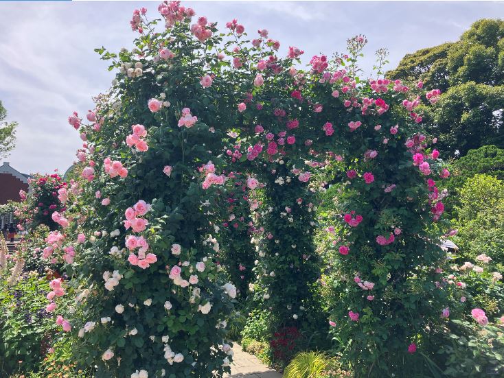 🌸花がきれいなおすすめスポット🌹