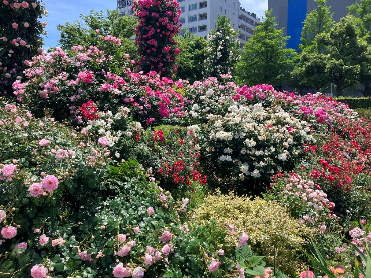 🌸花がきれいなおすすめスポット🌹