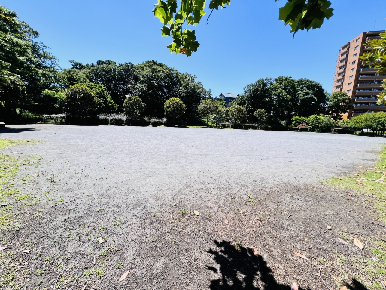 四季折々の自然を楽しめる公園【相武台前】