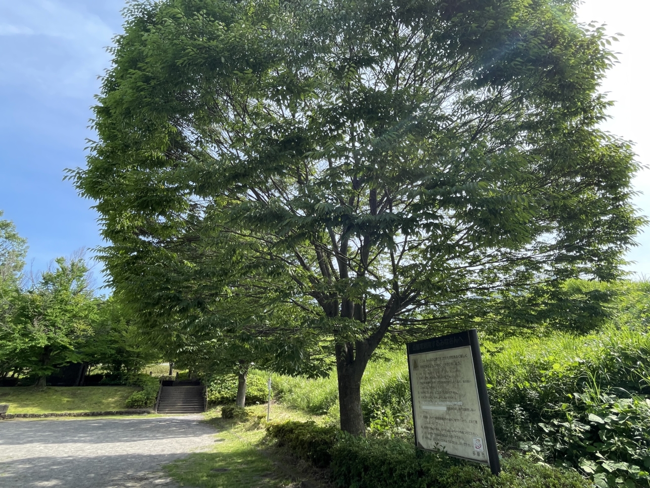 みんなの癒しの場☆唐木田公園☆