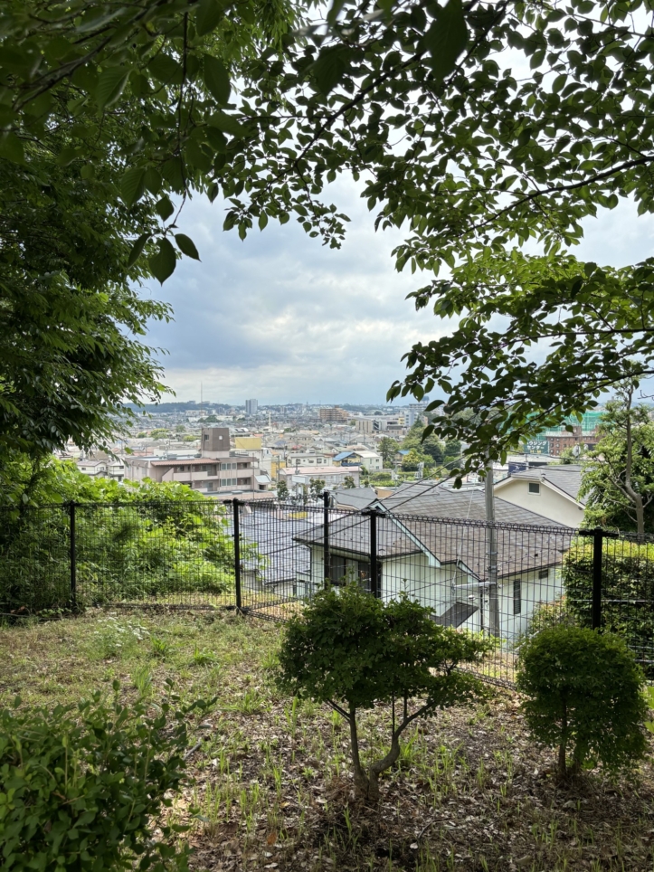 住宅街にある森【成城三丁目緑地】