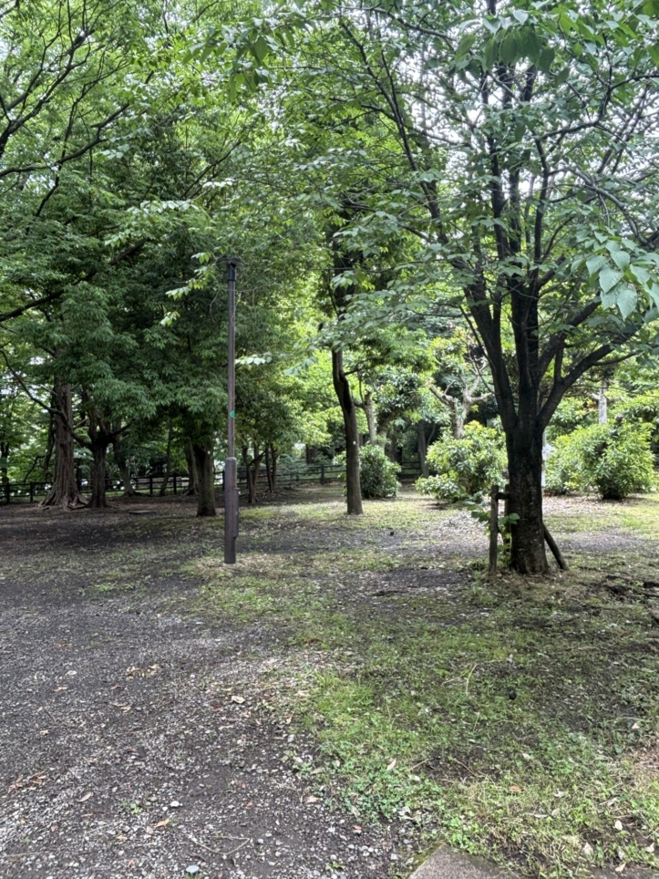 住宅街にある森【成城三丁目緑地】