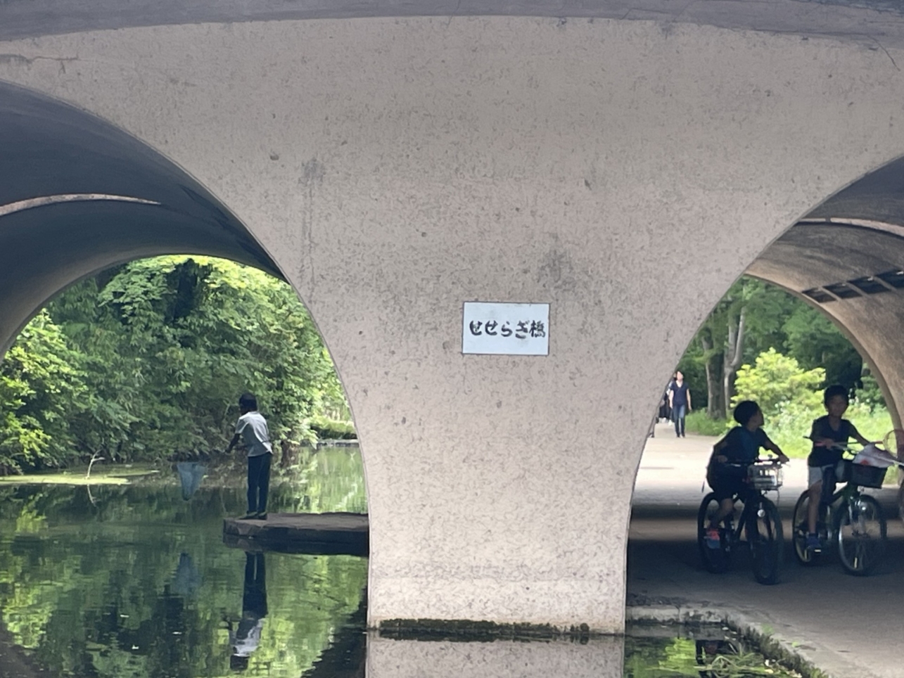 駅近で素敵なお店も緑もいっぱいの公園・カモの親子も子育て中『せせらぎ公園』