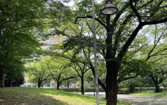 真夏にピッタリ♪☆南大沢中郷公園☆