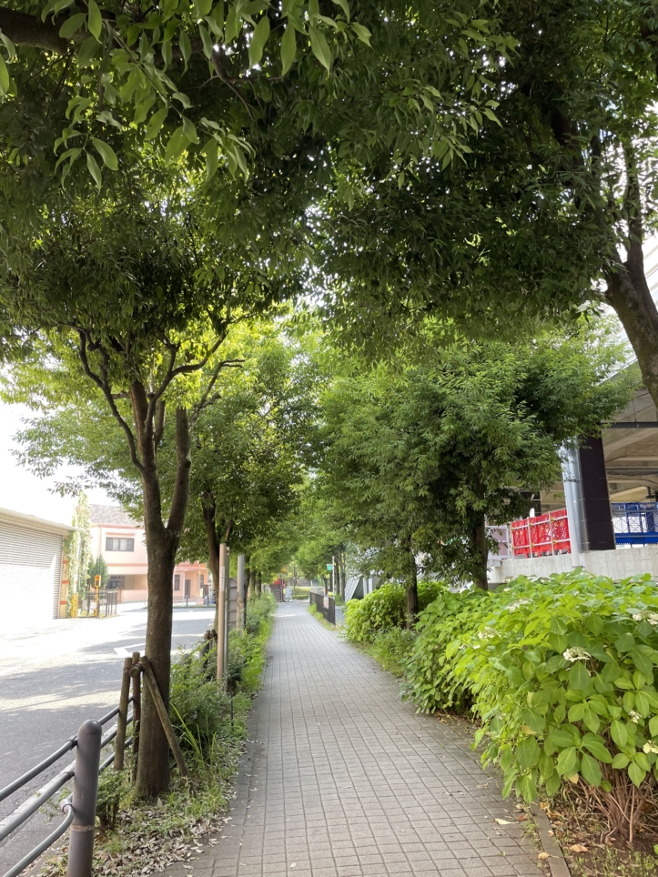 真夏のオアシス☆東京あそびマーレ☆