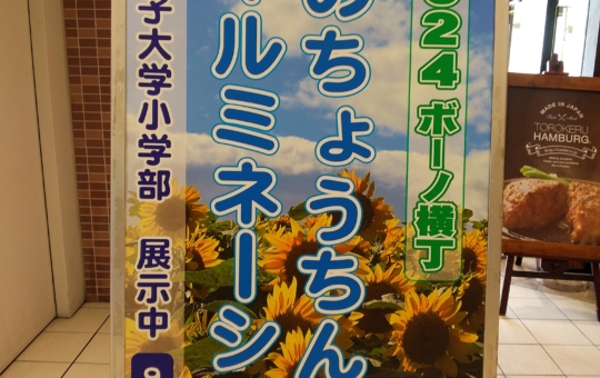 夏のちょうちんイルミネーション✨【相模大野】