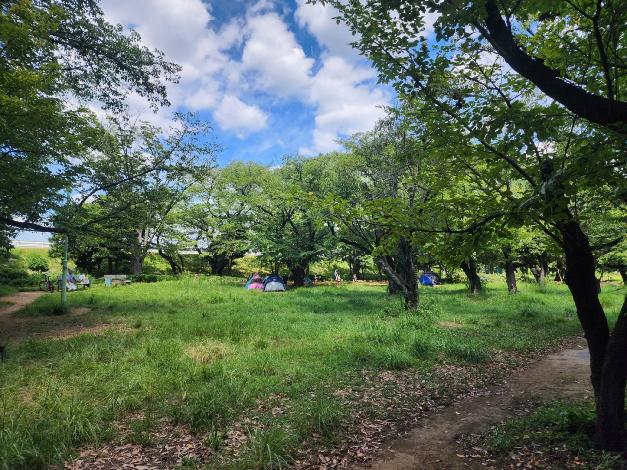 夏休み🎐待ってました！！！