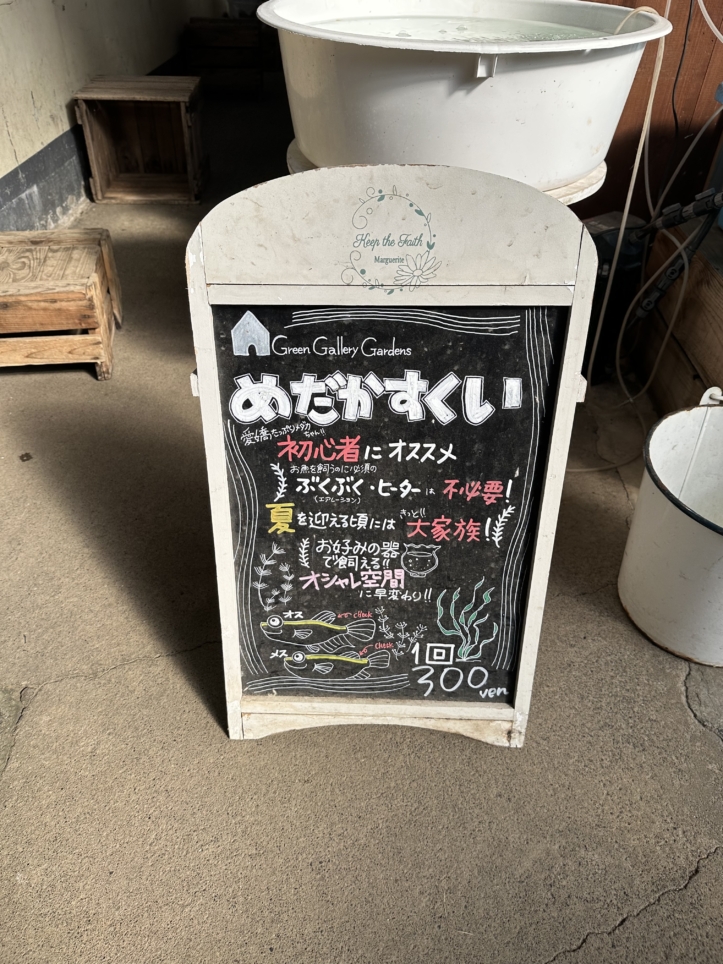 吉田観賞魚店