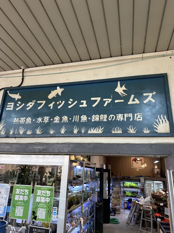 吉田観賞魚店