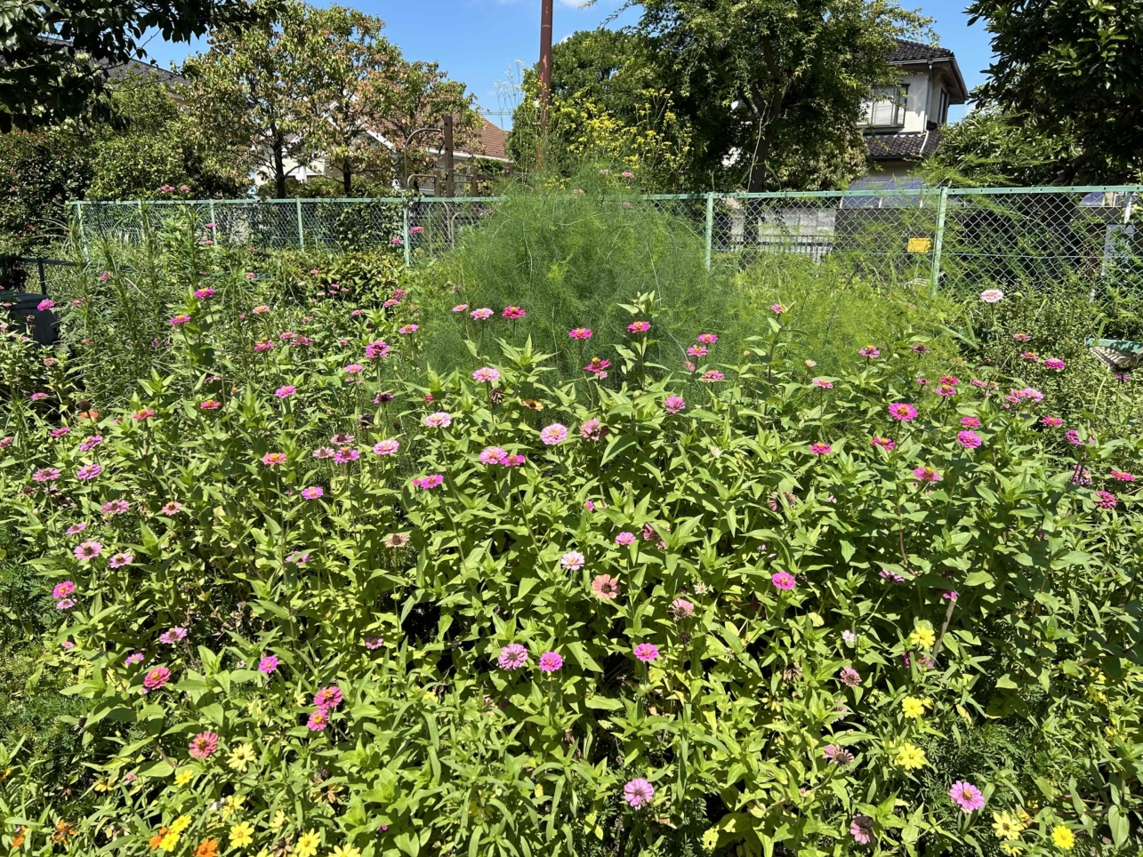 まるで大学構内のような居心地よさ♪花咲くアートヴィレッジ