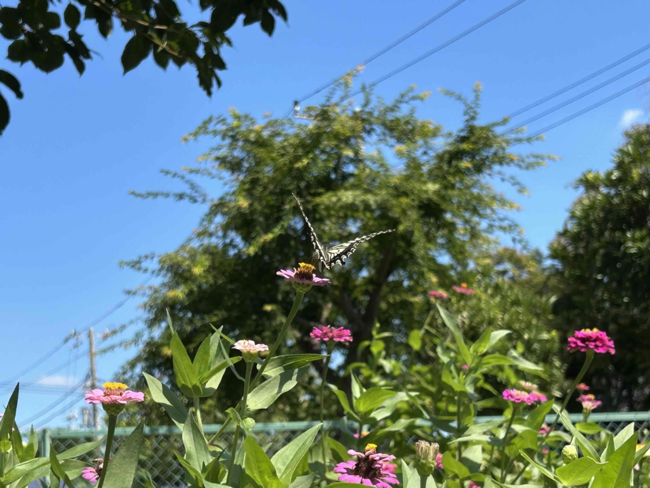 まるで大学構内のような居心地よさ♪花咲くアートヴィレッジ