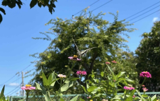 まるで大学構内のような居心地よさ♪花咲くアートヴィレッジ