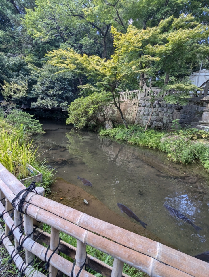 深大寺～境内～