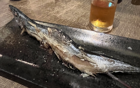 海の幸が美味しい🐟🦐ダイキチきんぎょ