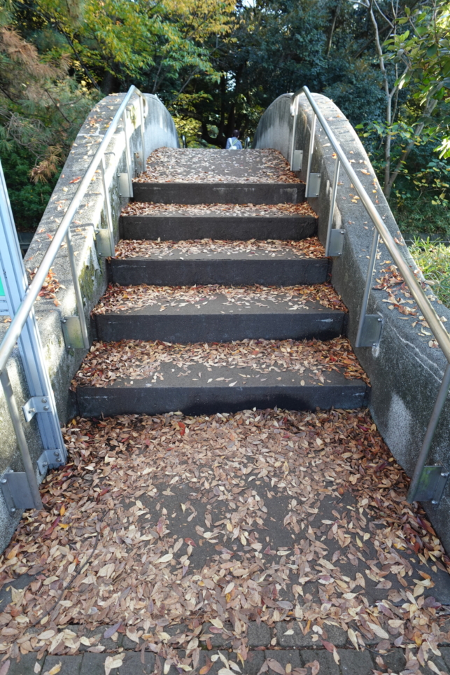 石神井公園駅の魅力をご紹介！！