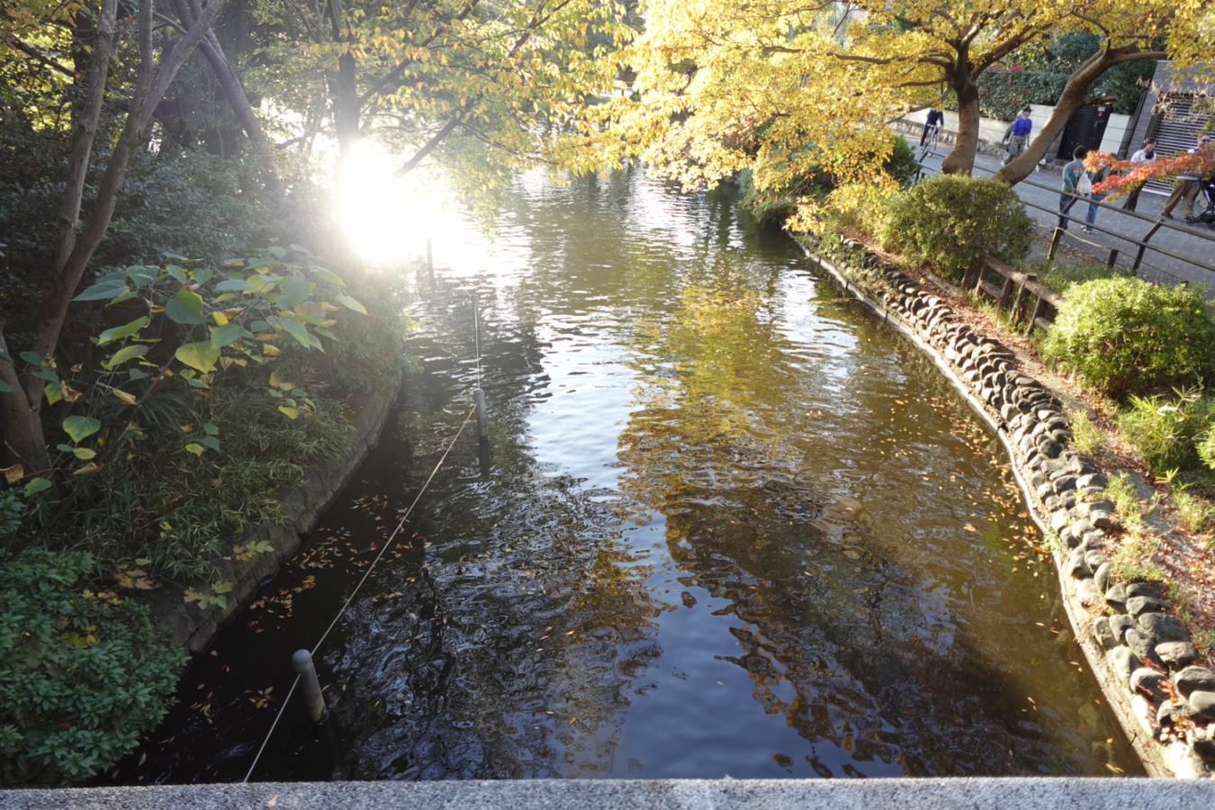 石神井公園駅の魅力をご紹介！！