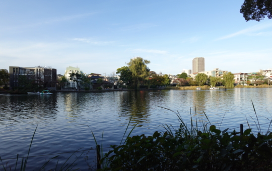 石神井公園駅の魅力をご紹介！！