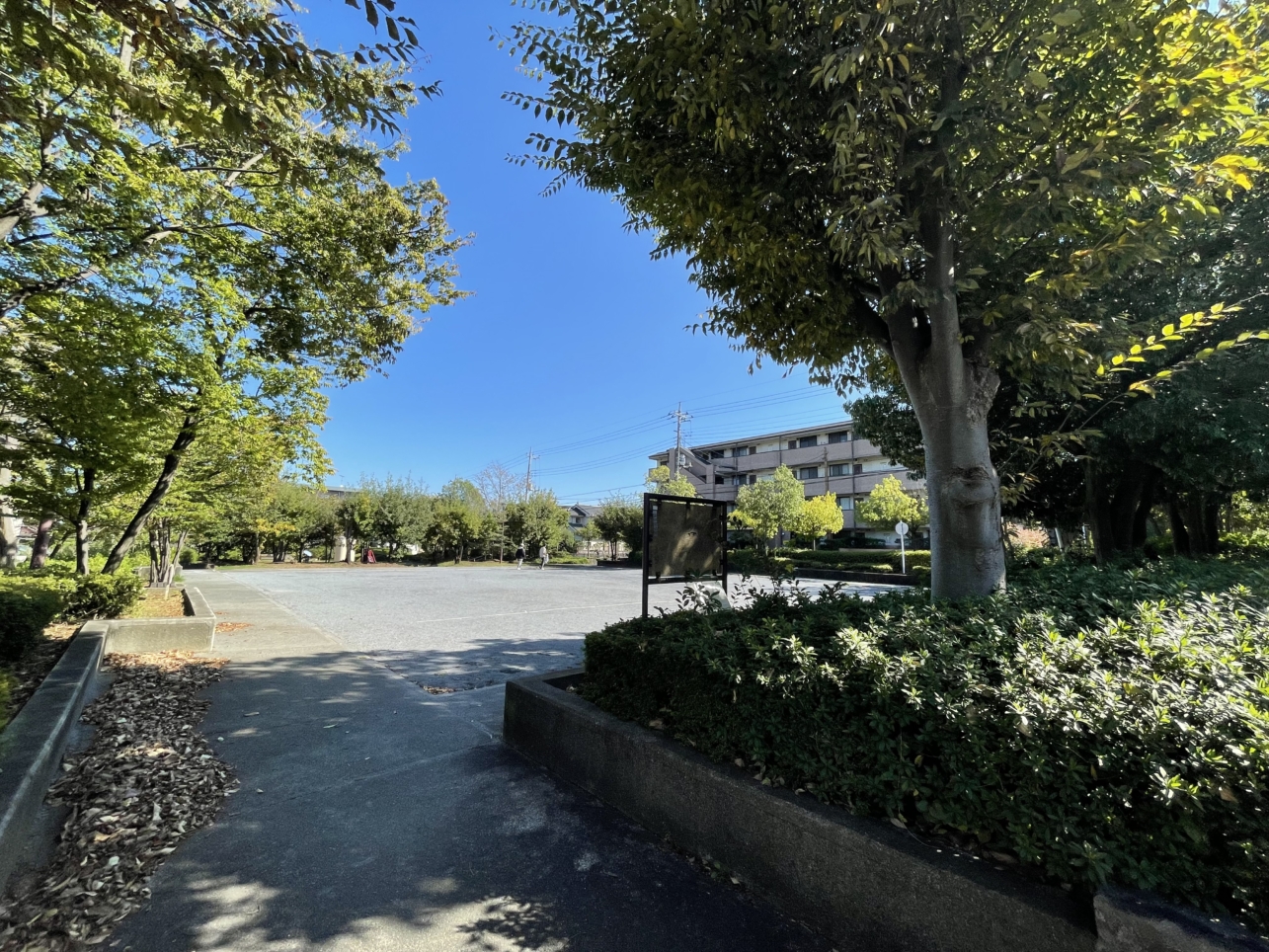 秋風に釣られて、醒める微睡☆松木峰ヶ谷戸公園☆