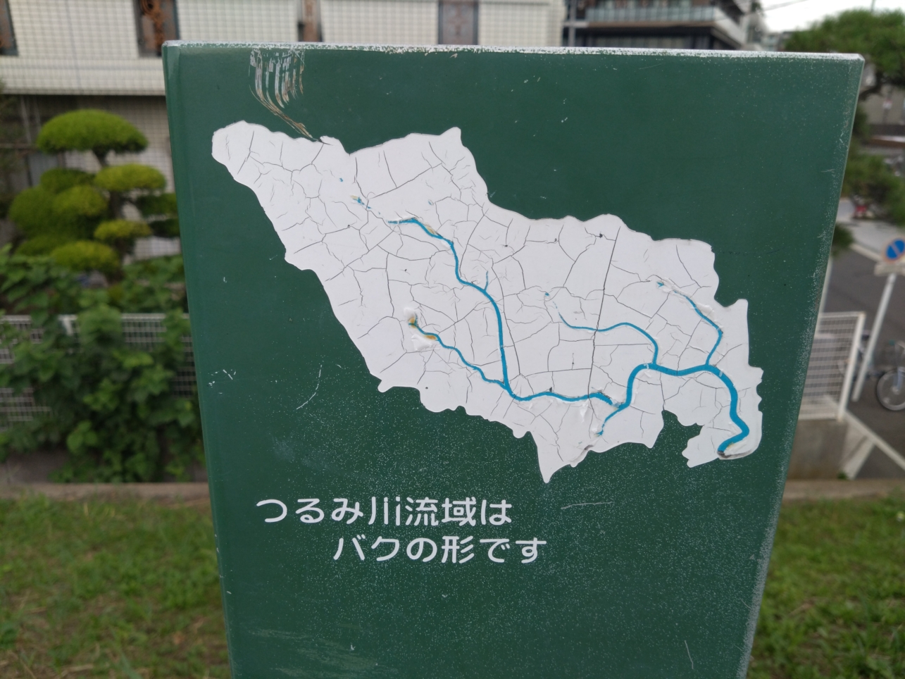 鶴見川のひみつ？！