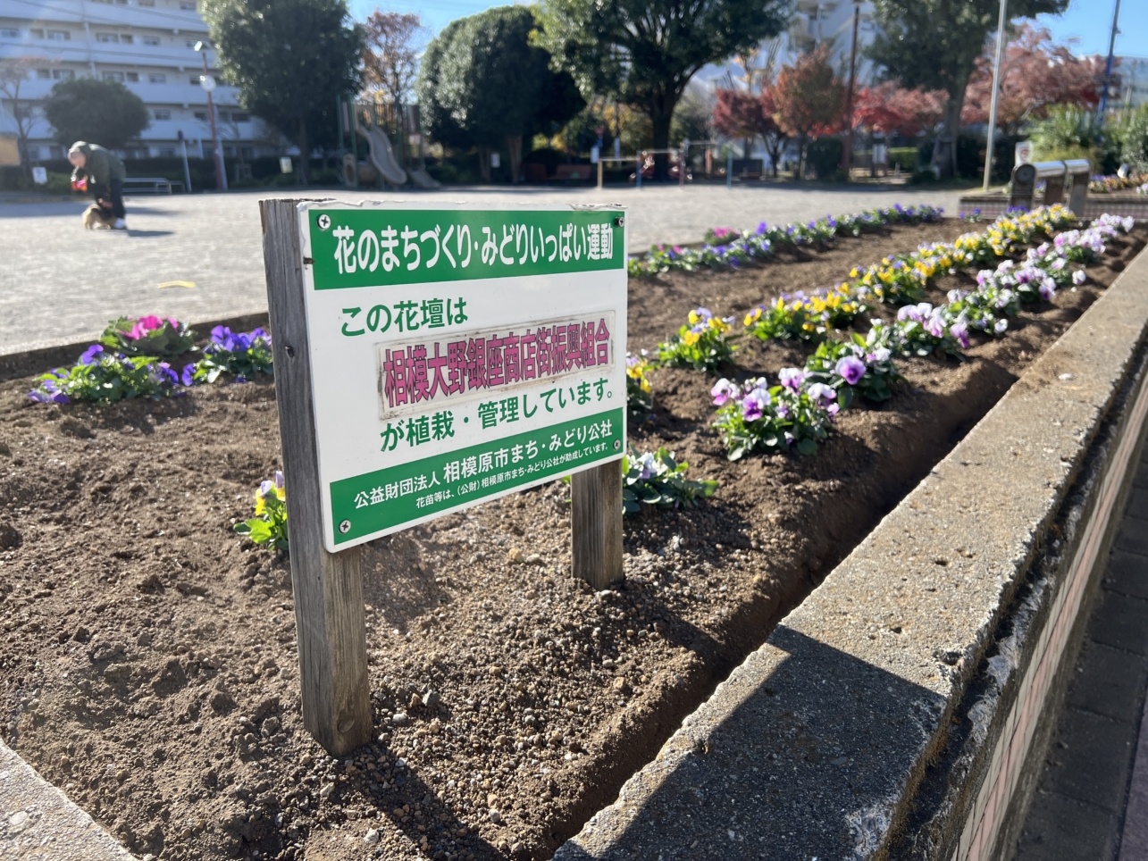 大野銀座商店街【相模大野】