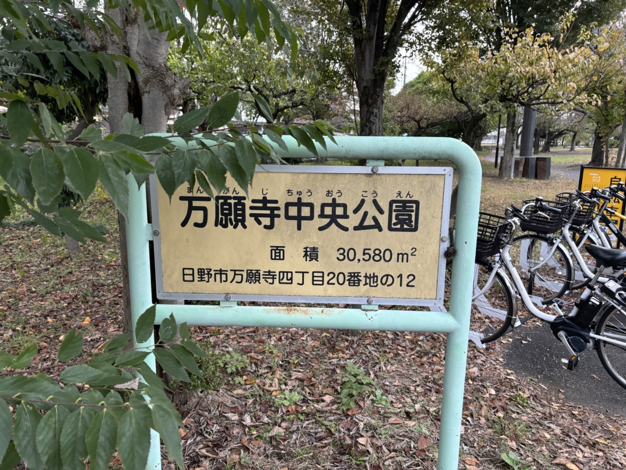 みんなの遊び場！万願寺中央公園☆