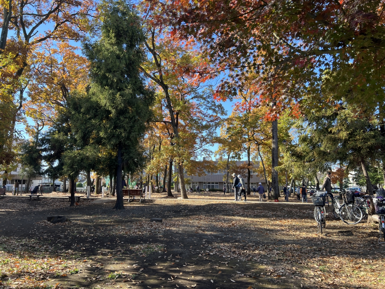 電車が見える公園【相模原市南区】