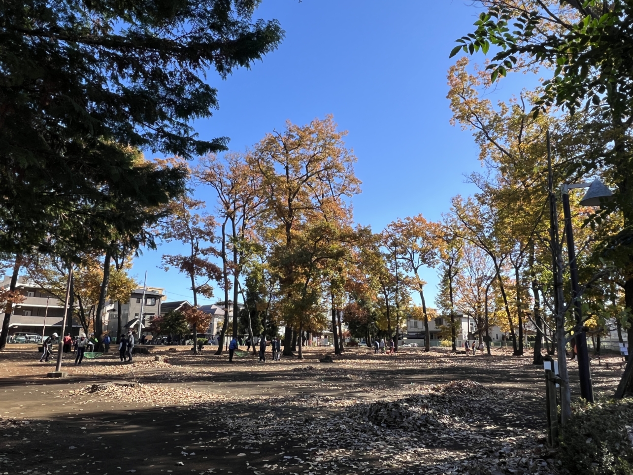 電車が見える公園【相模原市南区】